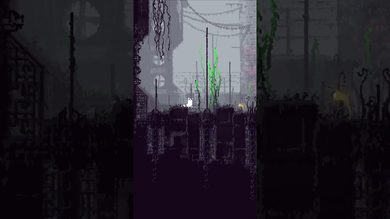 the Rain World experience