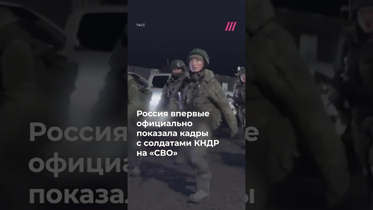 Военные КНДР на &laquo;СВО&raquo;. Первые официальные кадры