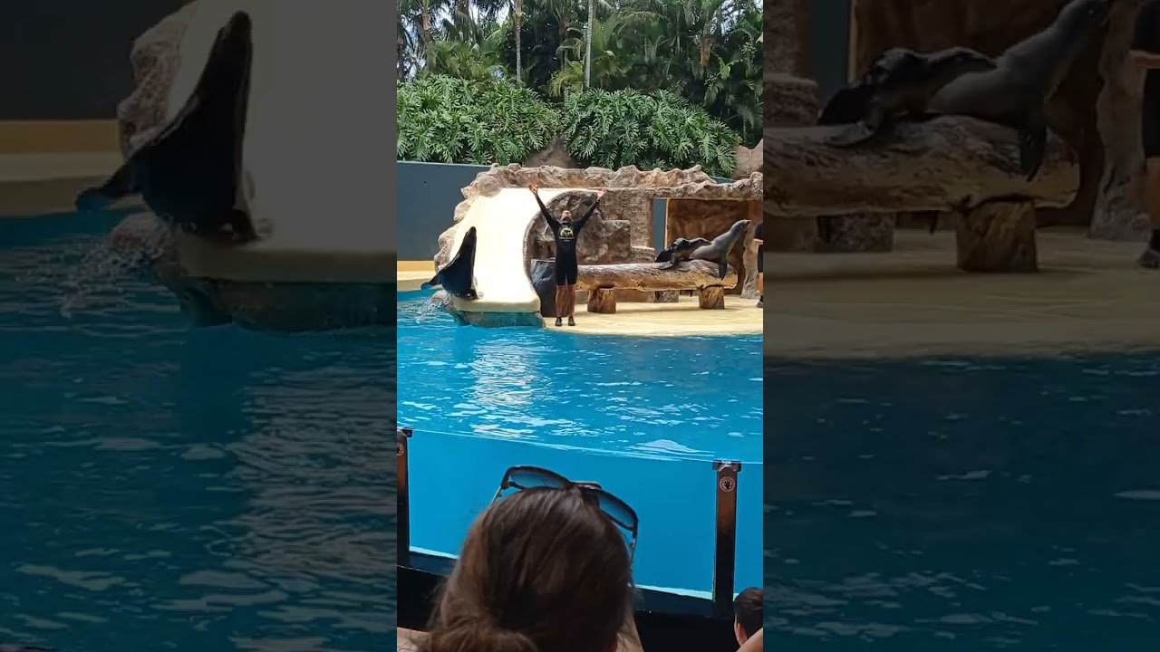 loro Parque Tenerife