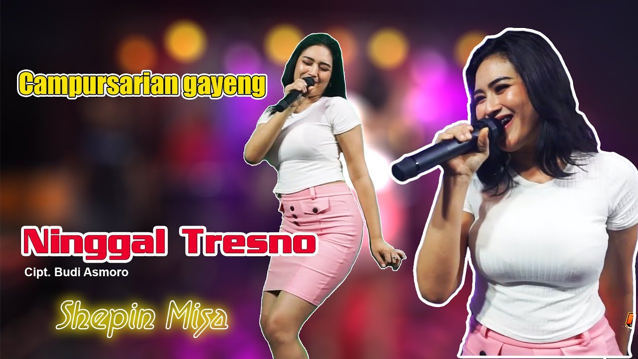 Shepin Misa - Ninggal Tresno ( Campursari Kalem ) CGS Pro Live