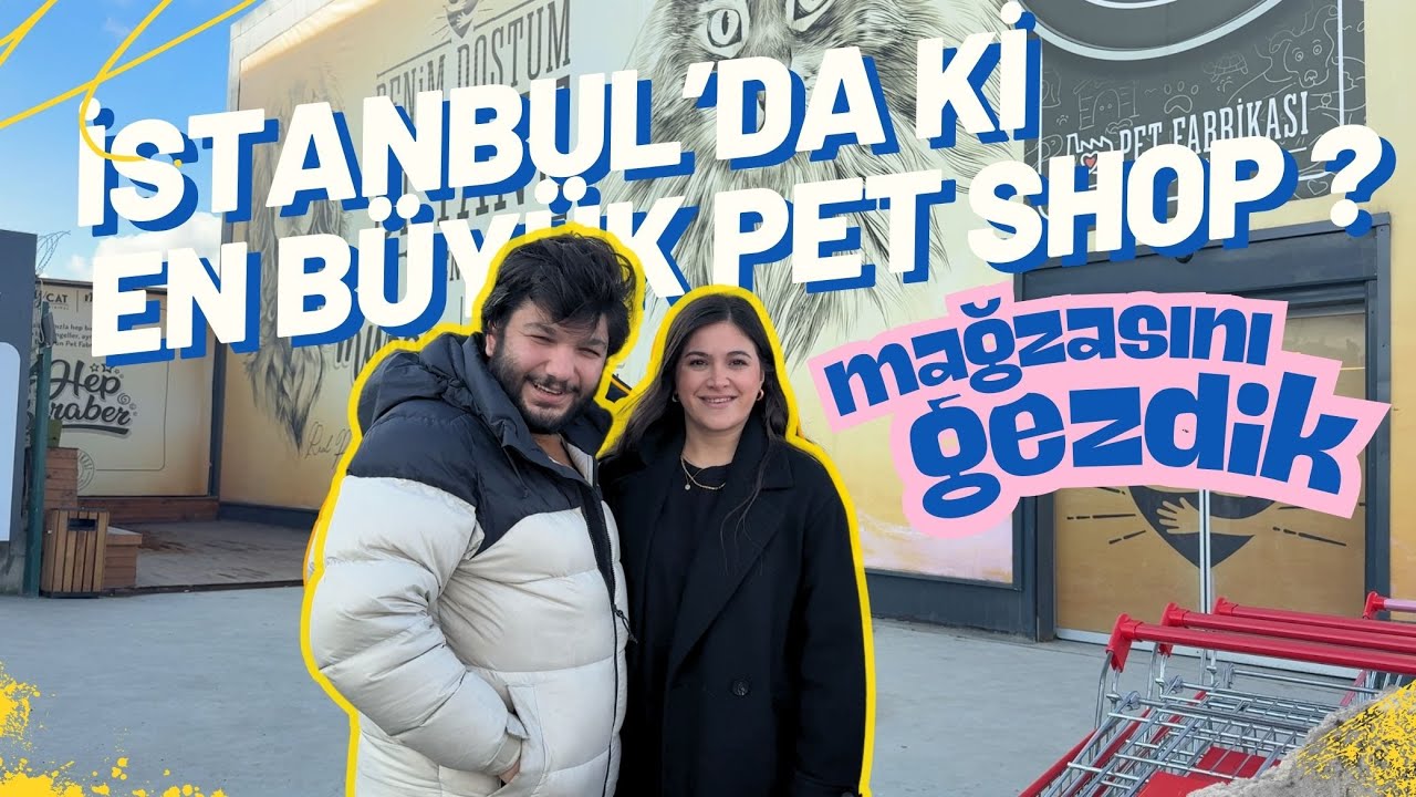 İSTANBUL'DA Kİ EN BÜYÜK PET SHOP MAĞAZASINI GEZDİK