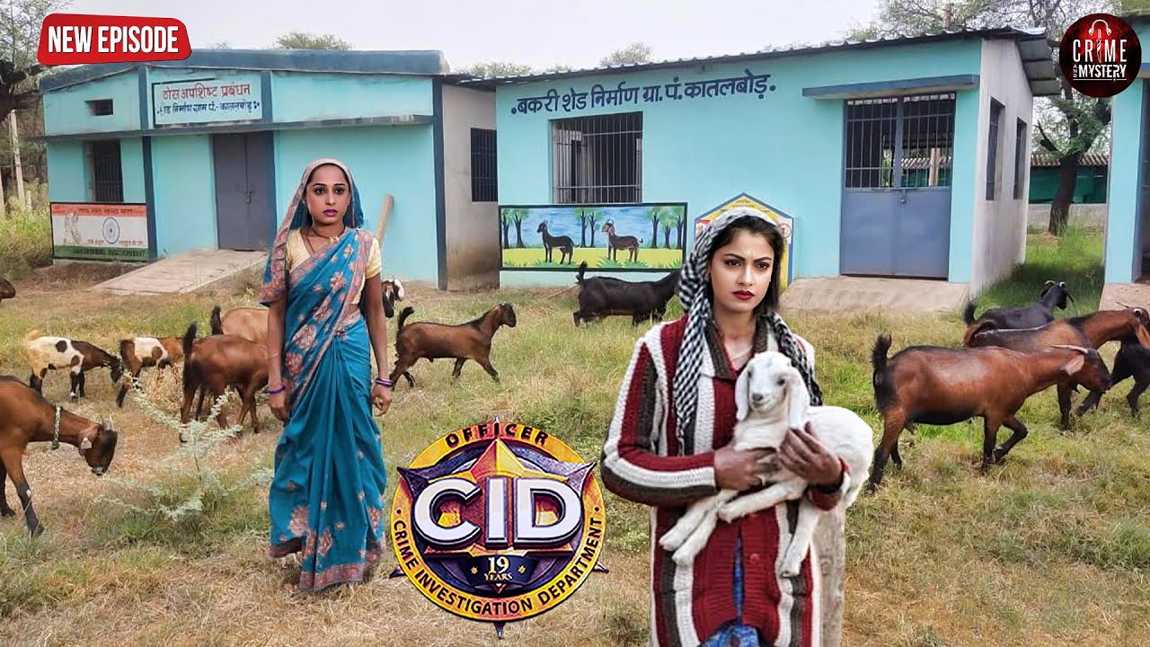 गांव में छुपे मुजरिम पर नजर रखने के लिए श्रेया और पूर्वी ने किया बकरी पालन | CID | New Episode 2025