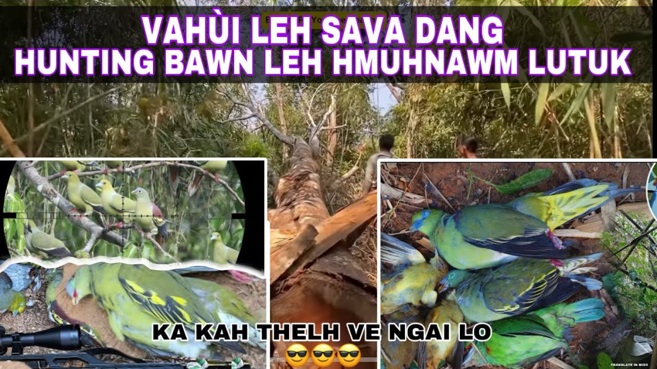 VAHÛI LEH SAVA DANG,THEHLEI KÂP HMUHNAWM LEH BAWN..