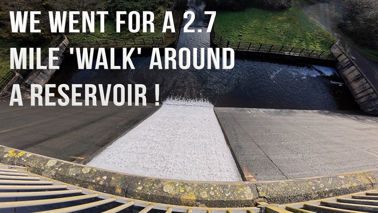 A walk around Tamar Lakes for some light exercise and Bird Spotting Near Bude