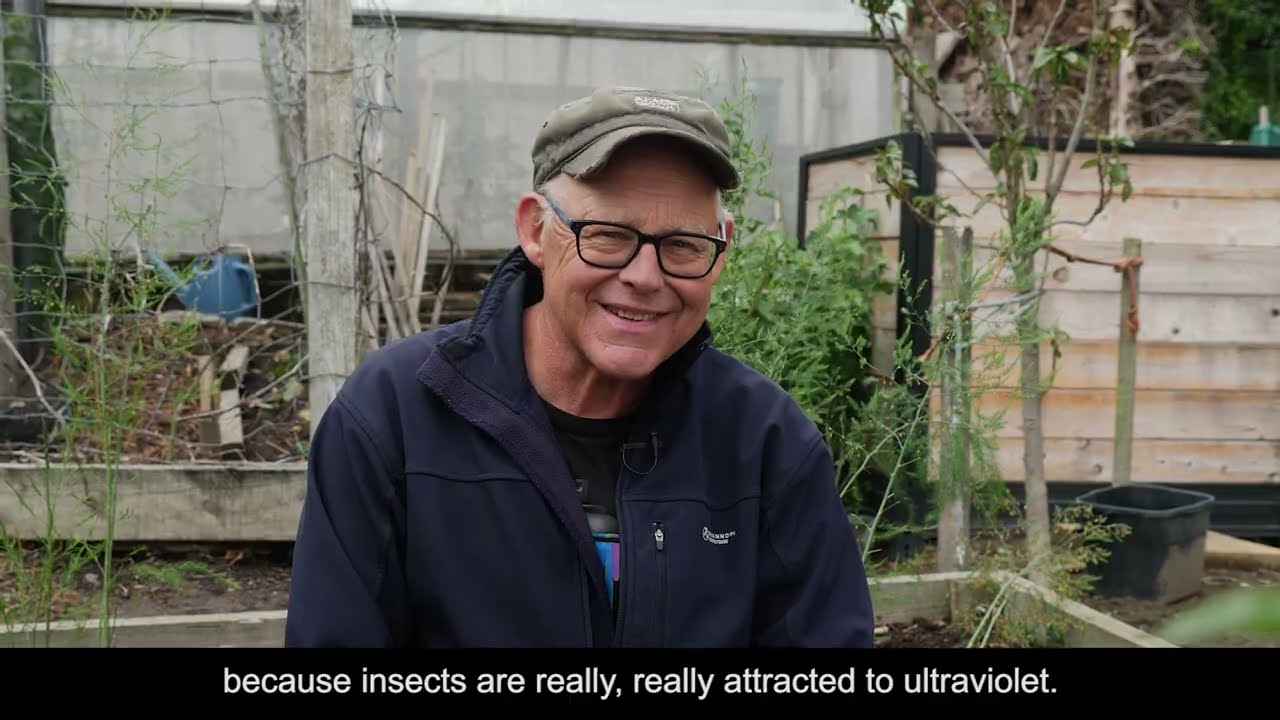 Backyard Bugging Biodiversity