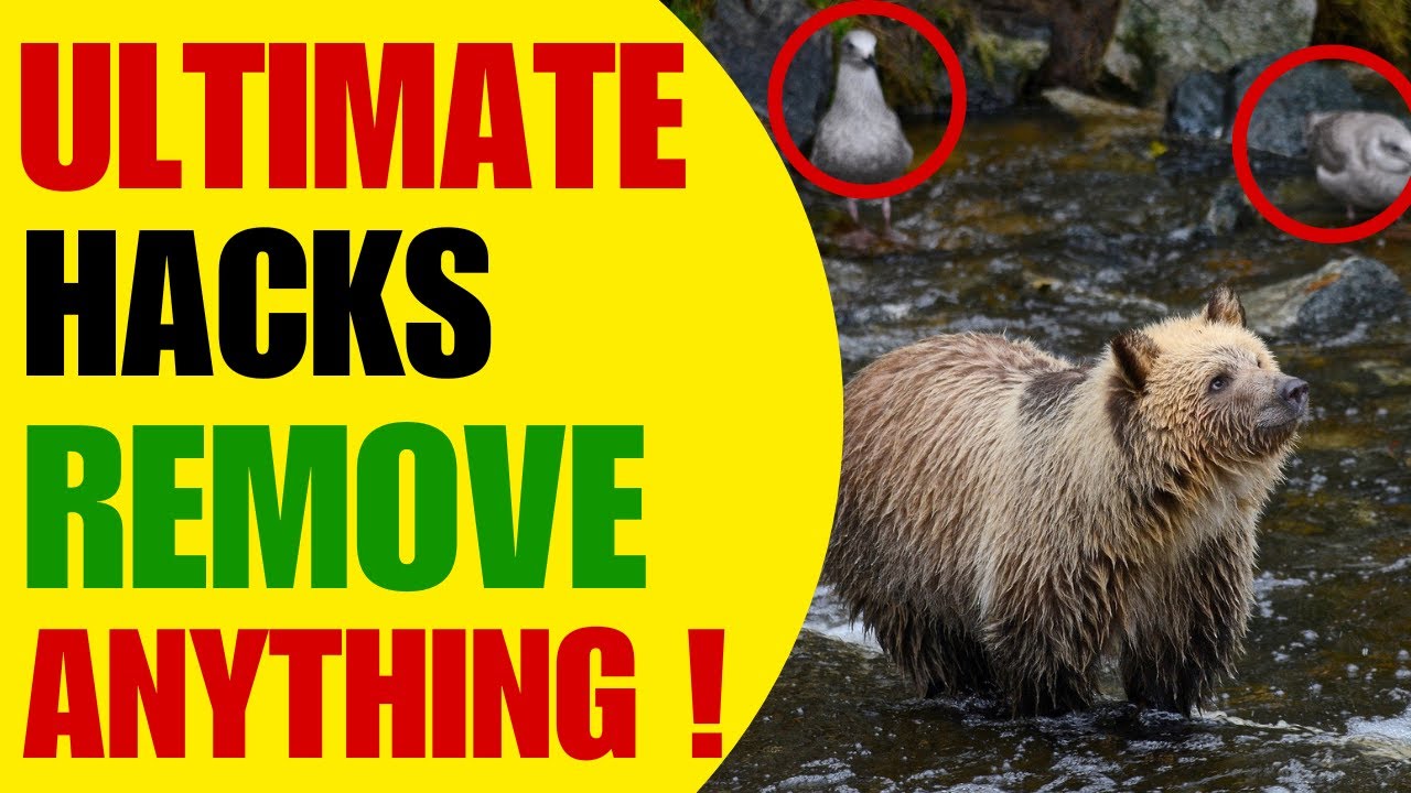 The FASTEST Way to Remove Objects from Photos Using Windows 11(Easy & Simple Steps)