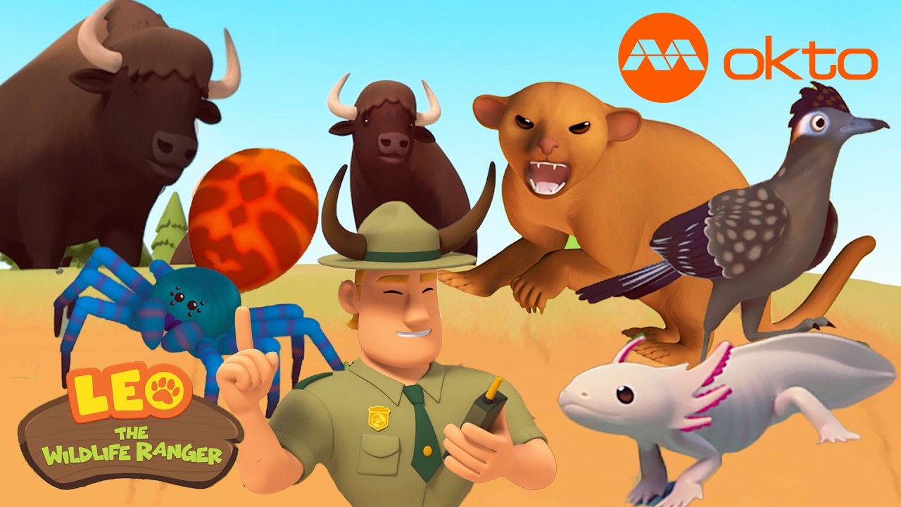 WILDLIFE RESCUE ADVENTURES FOR KIDS 🐾🌎🦁 | Leo Compilation | @mediacorpokto