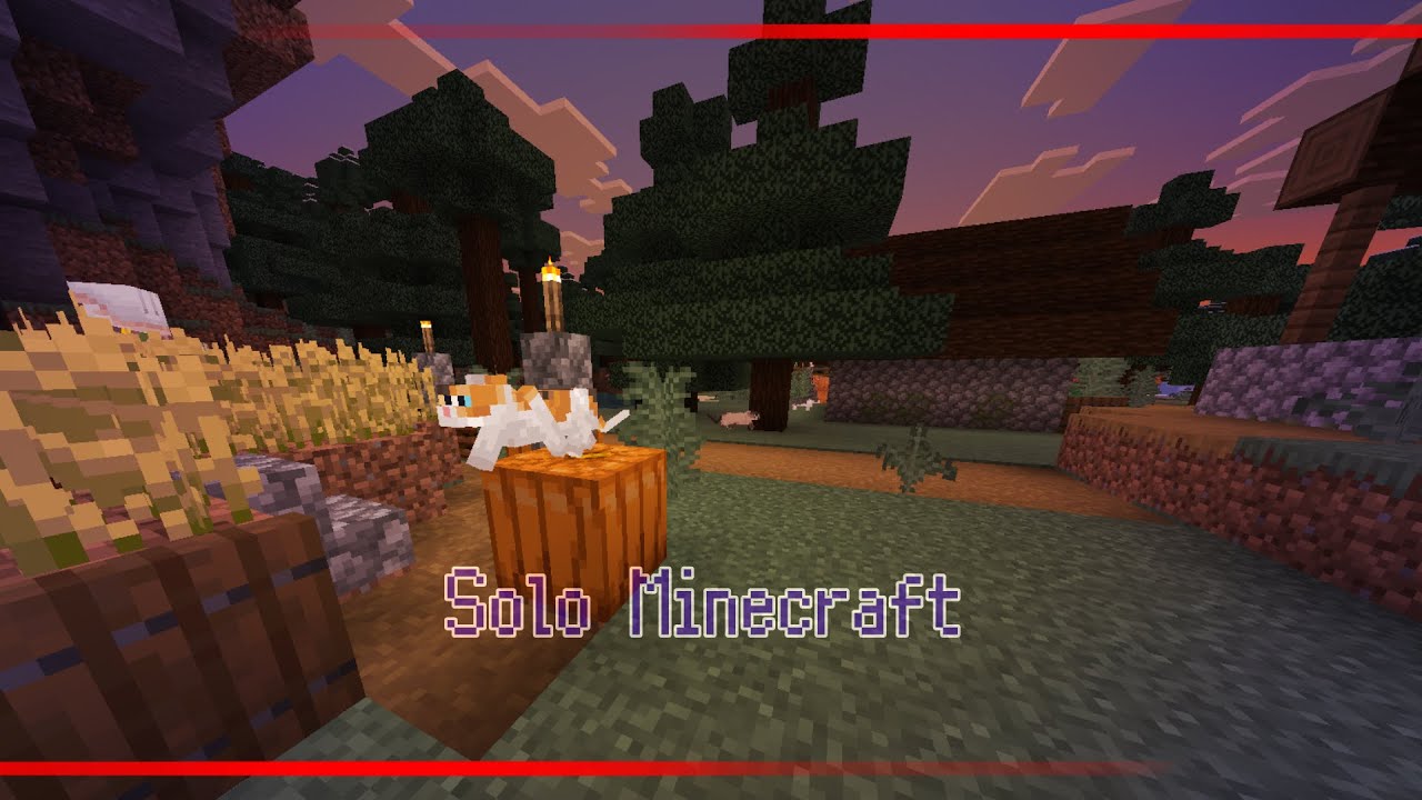 solo survivalMinecraft minecraft