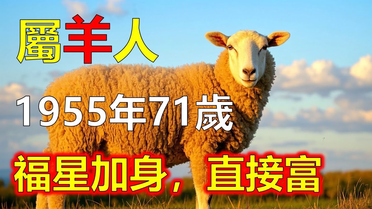 河左之羊的圓滿收場：從理解他人，到真正理解自己，1955年屬羊人花了一生時間懂人、助人、守人。到七十歲，他們終於學會照顧自己。命運的最終修行，不在功名富貴#屬羊#生肖羊 #1955 羊