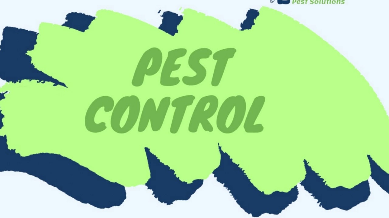 Top-Rated Pest Control & Exterminator Services Near Lexington, SC | Lamp's Solutions