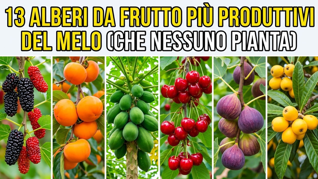 13 alberi da frutto più produttivi del melo (che quasi nessuno pianta)