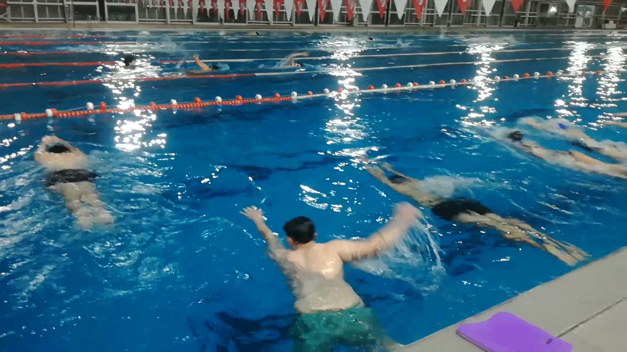 👉✅🏊‍♂‍Natación Ejercicios introducción al medio acuático