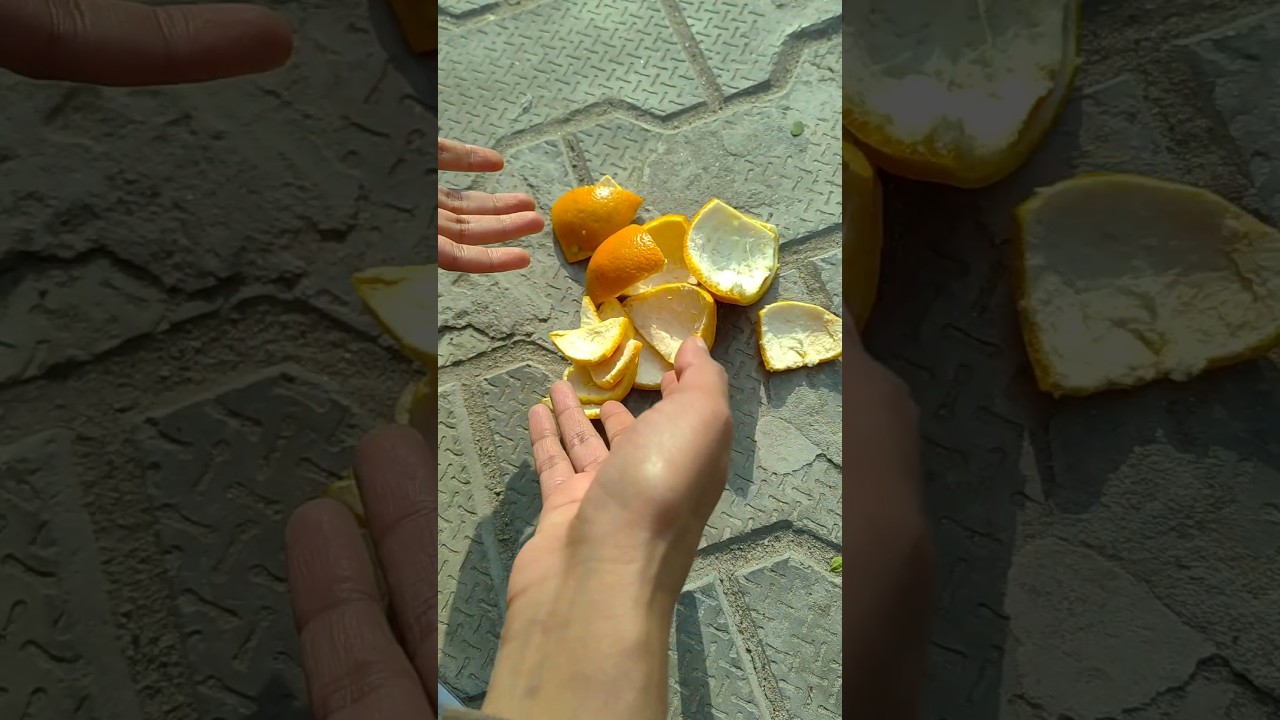 How to express their feelings with orange peel flower 🌼 #diy #art #shorts