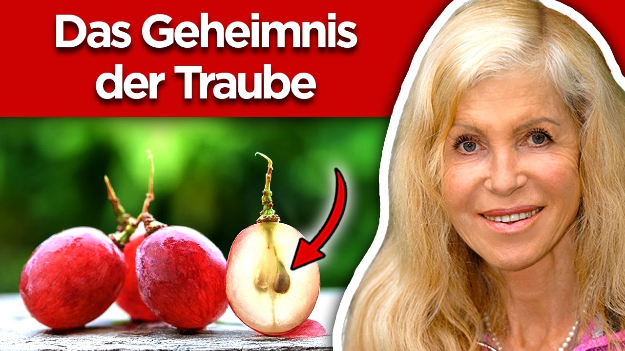 OPC Traubenkernextrakt (Das verschweigt dir dein Arzt)