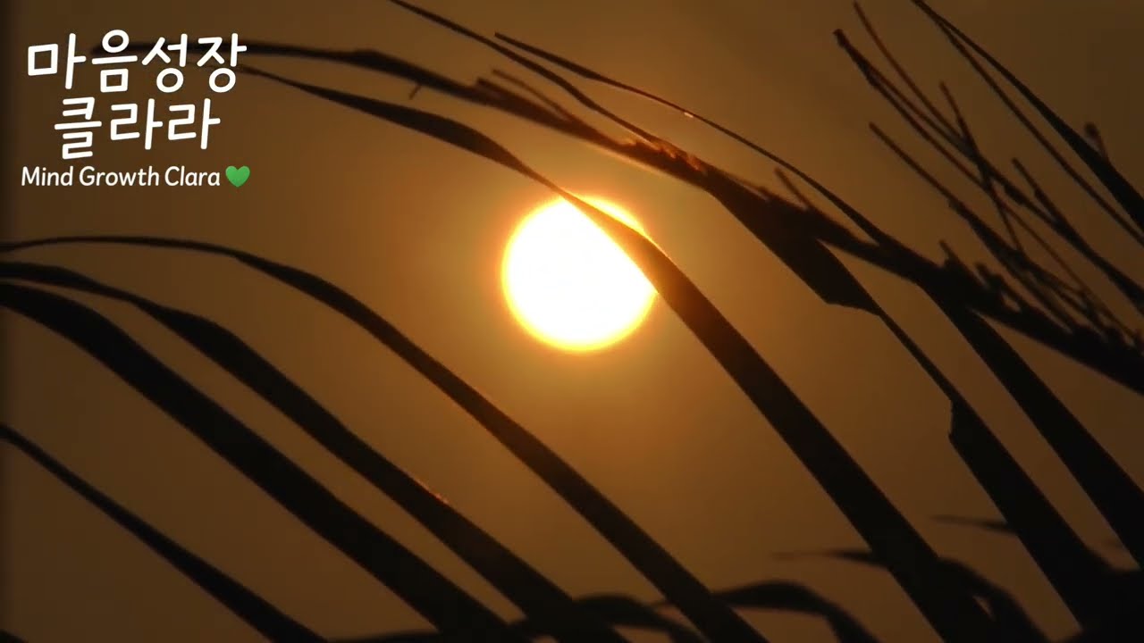 가을 밤에 듣는 위로의 음악 | Healing Music for Autumn Night