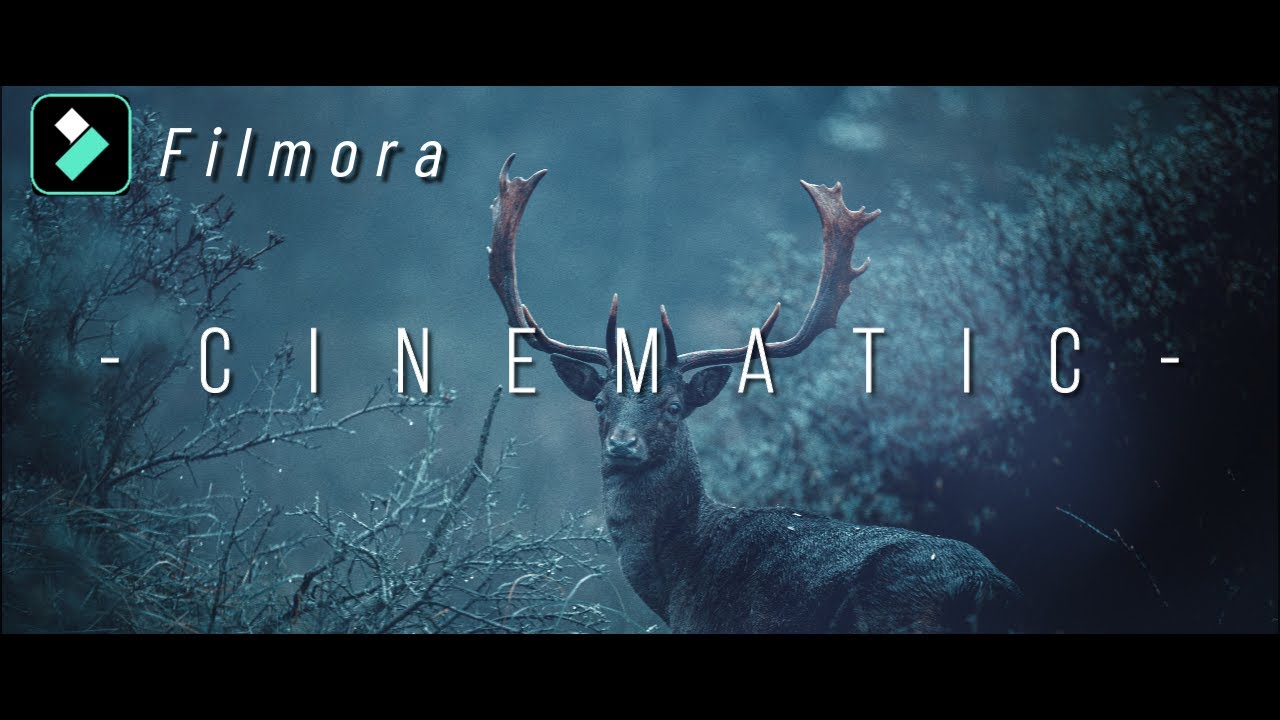 【フィモーラ】上級者をぶち抜く！動画編集初心者でも映画のようなシネマティックな７つのエフェクト【Filmora11】