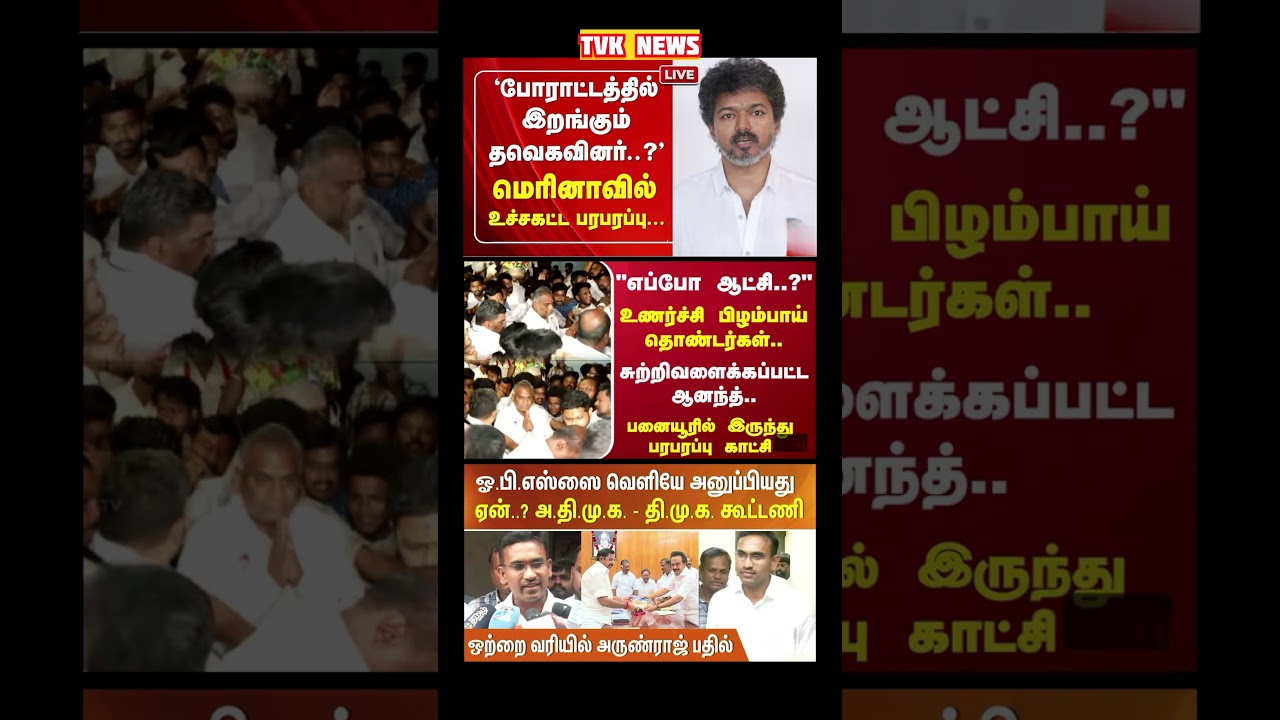 TVK Thalapathy vijay anna || #tvk#dmk#admk#congress#bjp#breakingnews#news#thalapathy#vijay