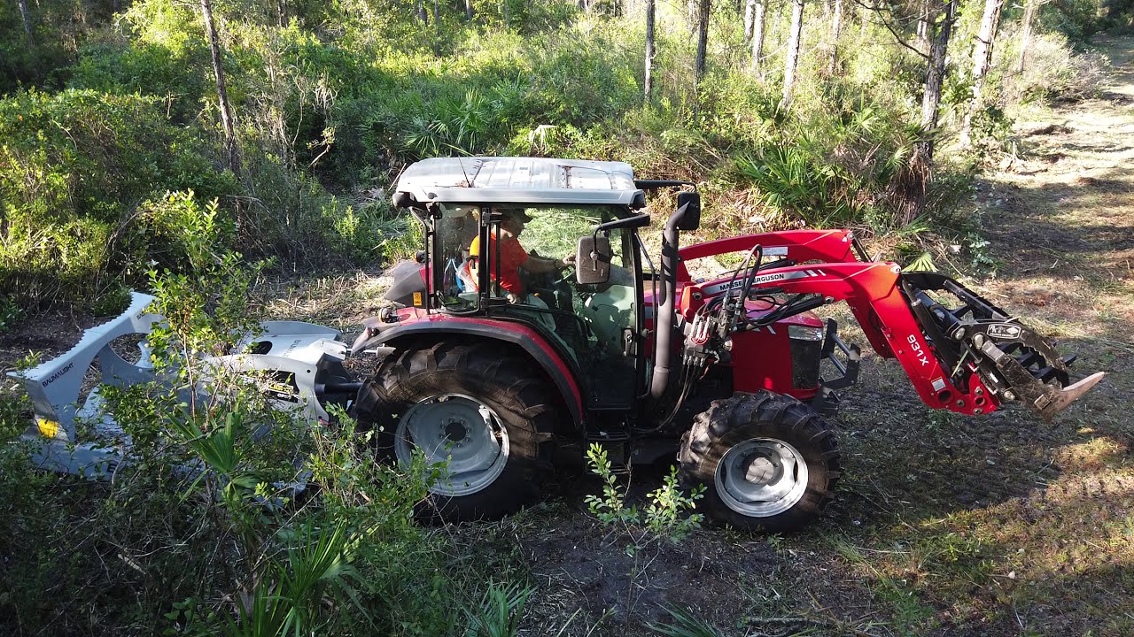 Bad Brush - Bush Hogging Dense Florida Scrub Oak