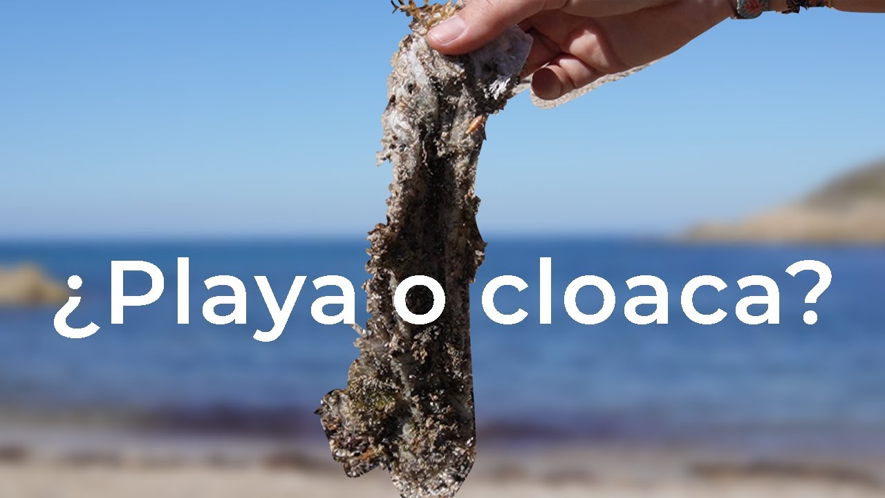 Visitamos la playa MÁS SUCIA de A Coruña y esto es lo que encontramos