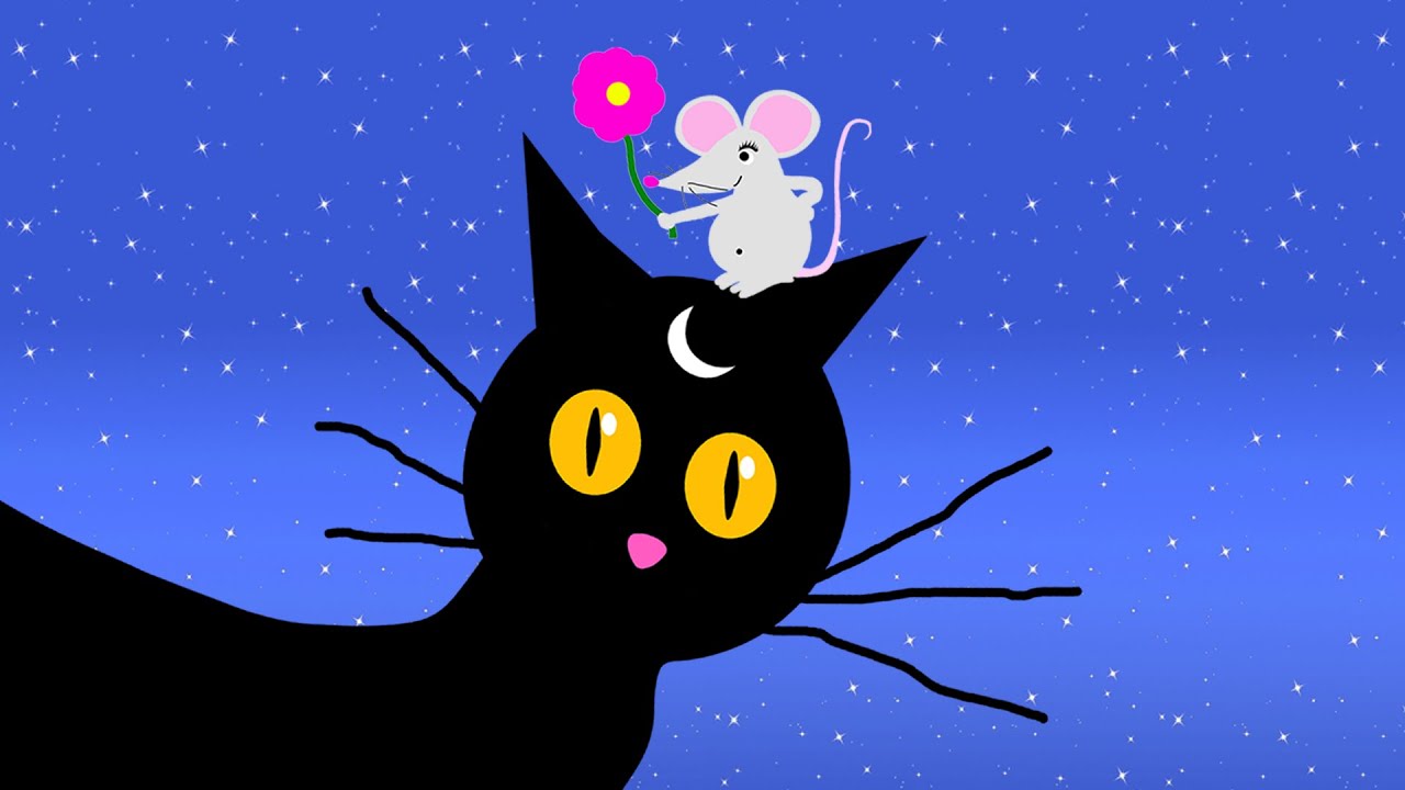 RELAXATION FLASH - Tom le chat