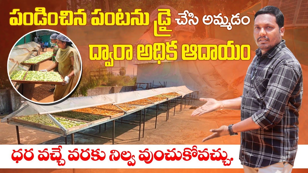 కూరగాయలు డ్రై చేయడం ద్వారా అధిక ఆదాయం | Solar Dryer Unit for Fruits & Vegetables | AgriTech Telugu