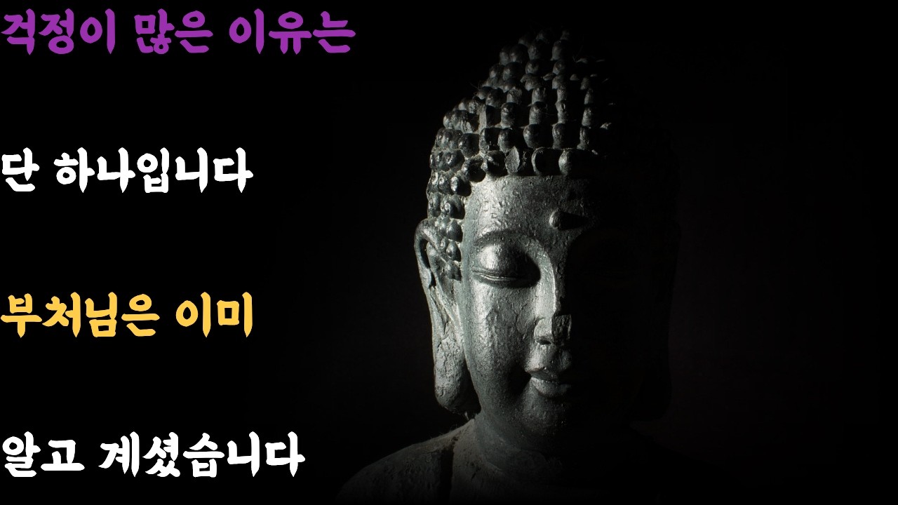 걱정이 많은 이유는 단 하나입니다 | 부처님이 알려주신 마음의 비밀