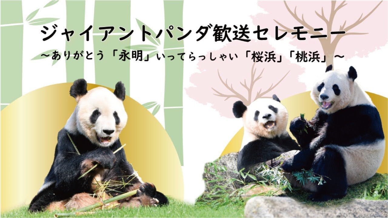 ジャイアントパンダ歓送セレモニー 〜ありがとう︕永明 いってらっしゃい︕桜浜・桃浜〜