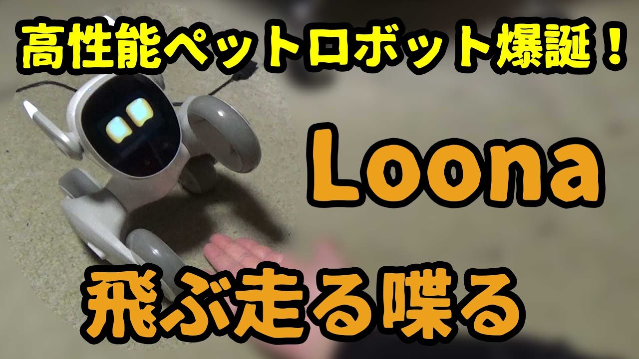 可愛くてヤンチャで甘えん坊なペットロボット Loona（ルーナ）爆誕！