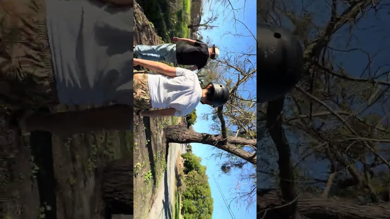 At the creek with Zach, Ollie and Porter