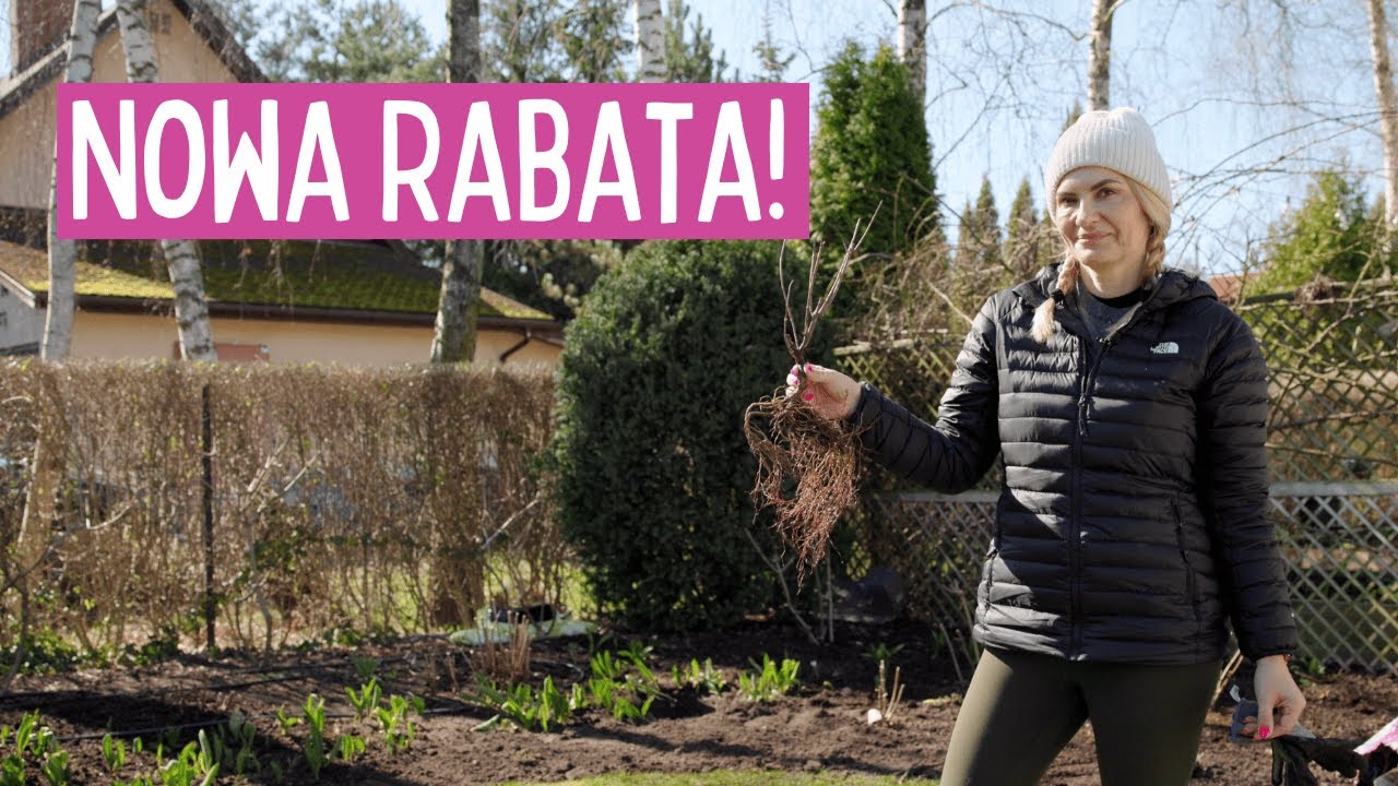 Jak stworzyć piękną rabatę ogrodową? 🌿 Krok po kroku! Hortensje i byliny.