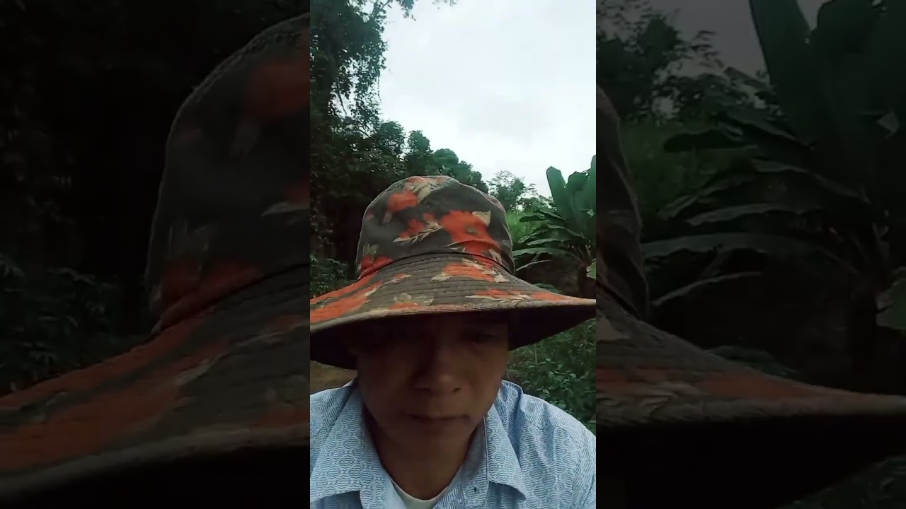 4 bài lượn cọi liên khúc hay nhất ( qua sự thể hiện ma hưng