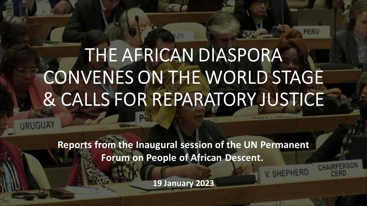 The African Diaspora Convenes on the World Stage & Calls For Reparatory Justice