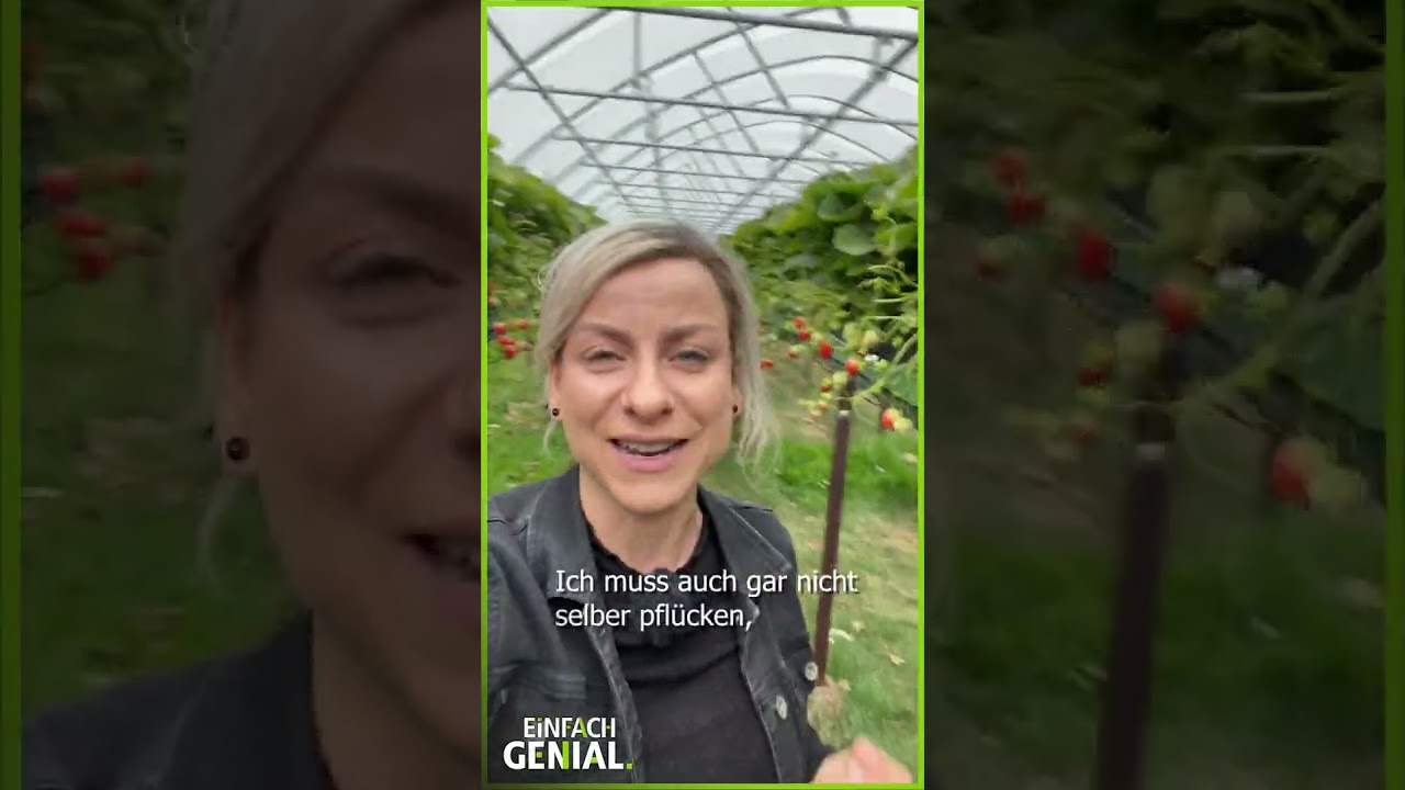 K&ouml;nnen Roboter bald unsere Erdbeeren ernten? #einfachgenial #erfindungen | Einfach Genial | MDR