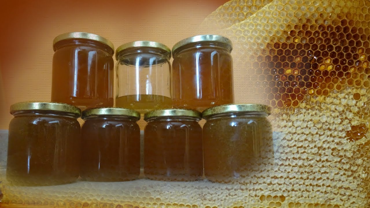 Honigernte | Bienenkiste #2 | pikiexe