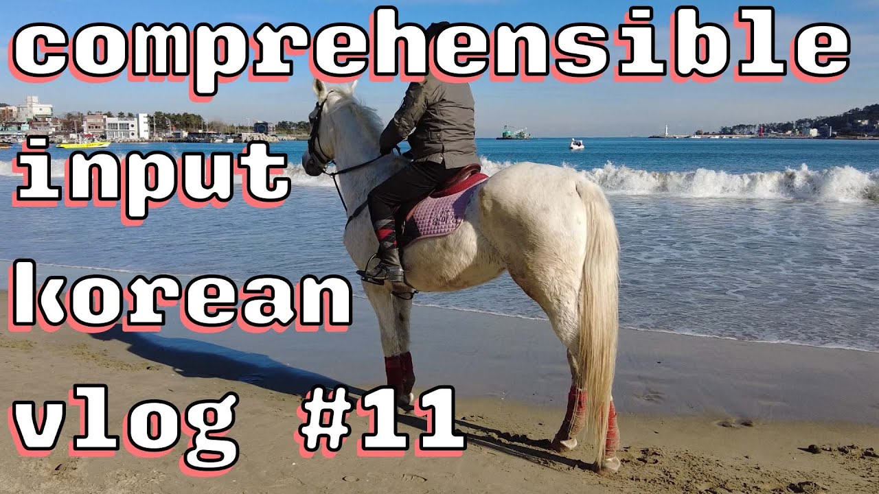 Comprehensible Input Korean Vlog #11 - Ilgwang Beach Afternoon (일광해수욕장)