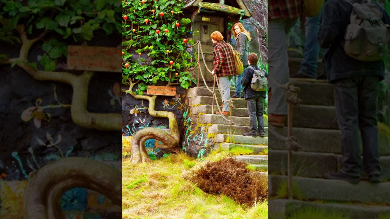 Harry Potter La Vida Vegetal De Poniente 21 40
