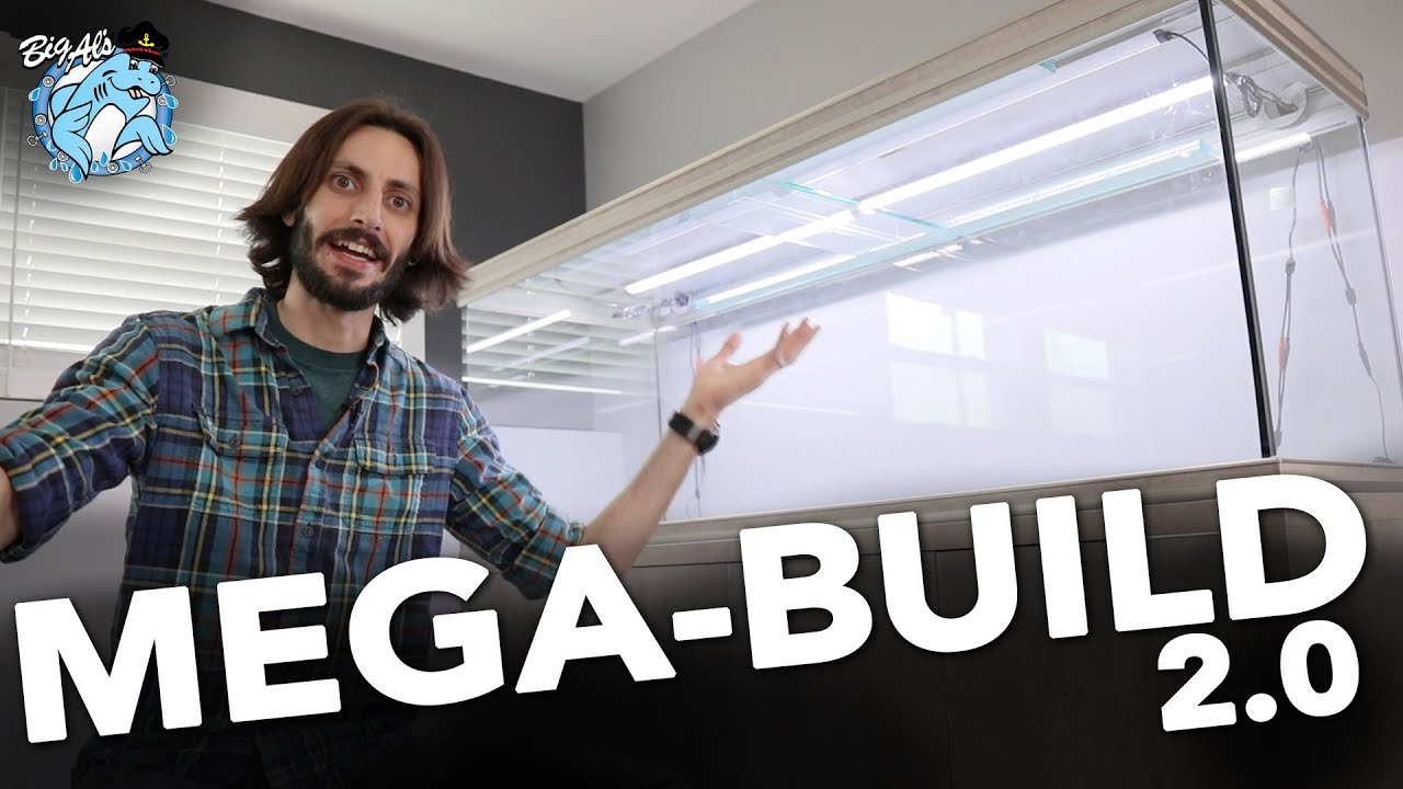 Mega-Build 2.0 &bull;&nbsp;Episode 01 &bull; The Aquatlantis Aquarium | BigAlsPets.com
