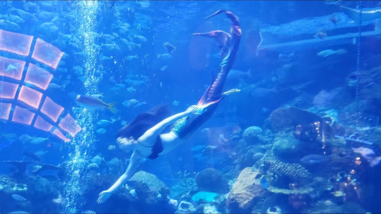 2026 Las Vegas Mermaid at Silverton Casino Lodge