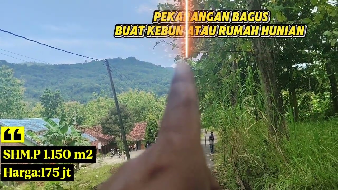 Tanah pekarangan bagus prospek untuk investasi masa depan 