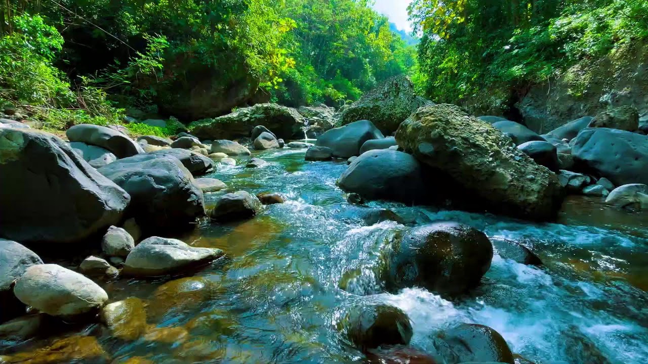 Deep Relaxation River Sounds – 10 Hours for Anxiety & Stress Recovery Stress & Tension Release
