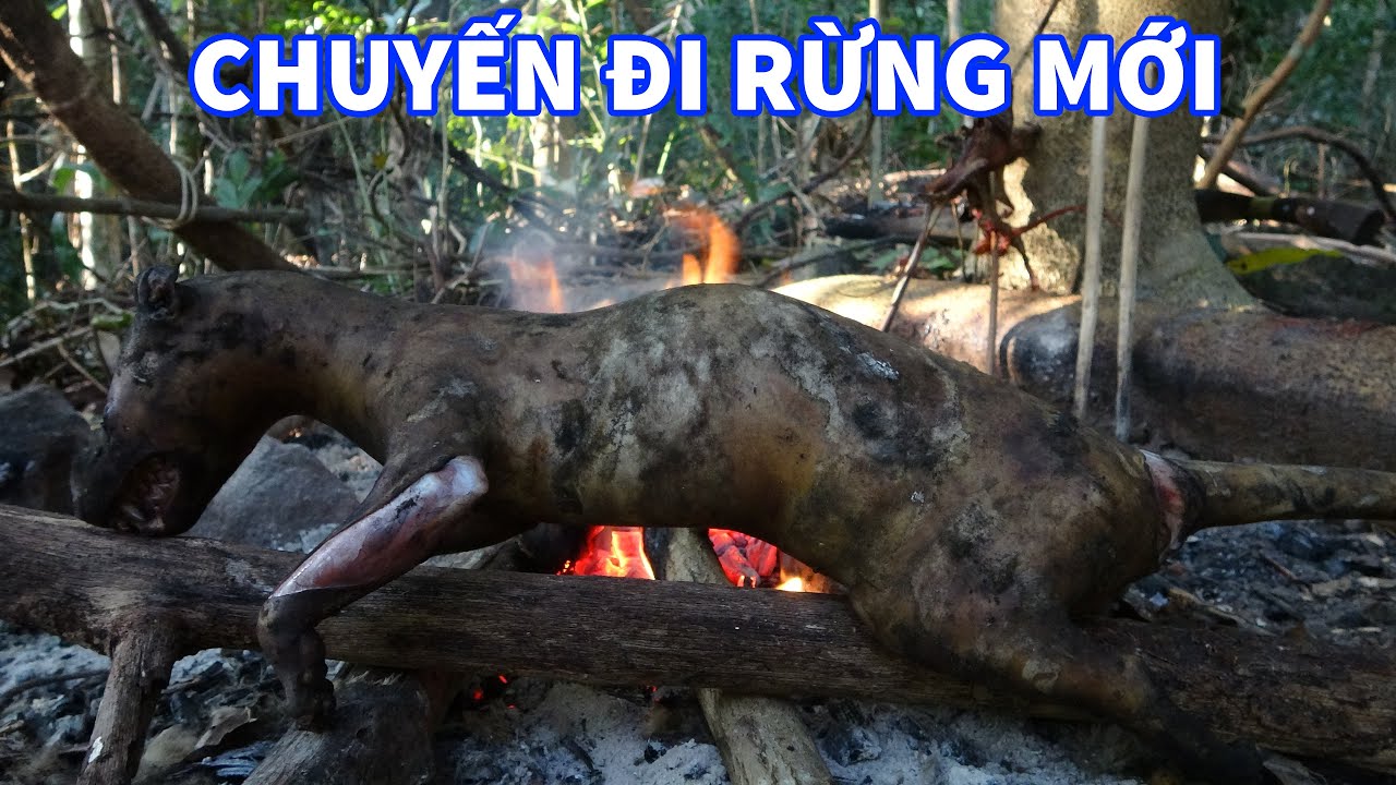 MỚI LÊN ĐÃ CÓ THỊT RỪNG - MÙA MẬT ONG RỪNG 2024 | T1