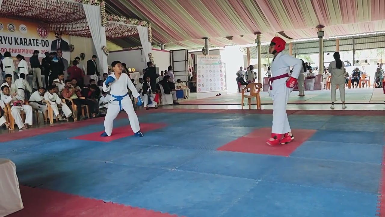 Kumite (fighting)