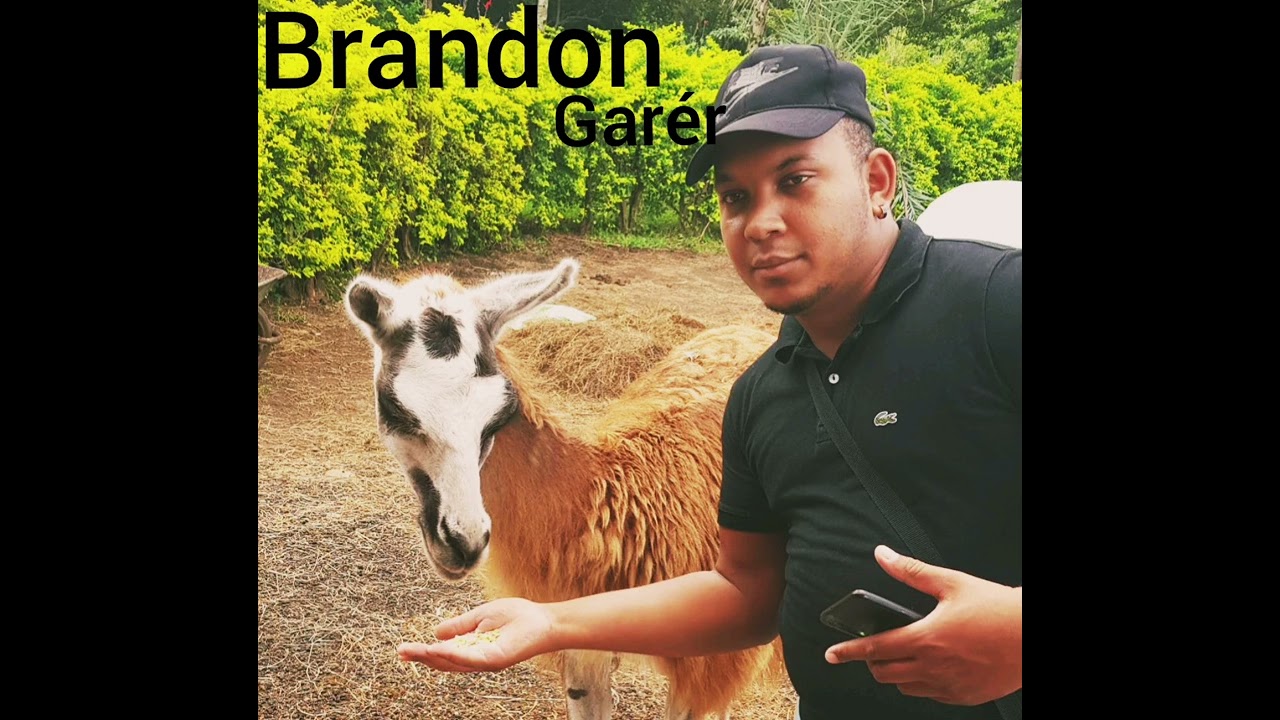 Brandon ft ia garér (2026)