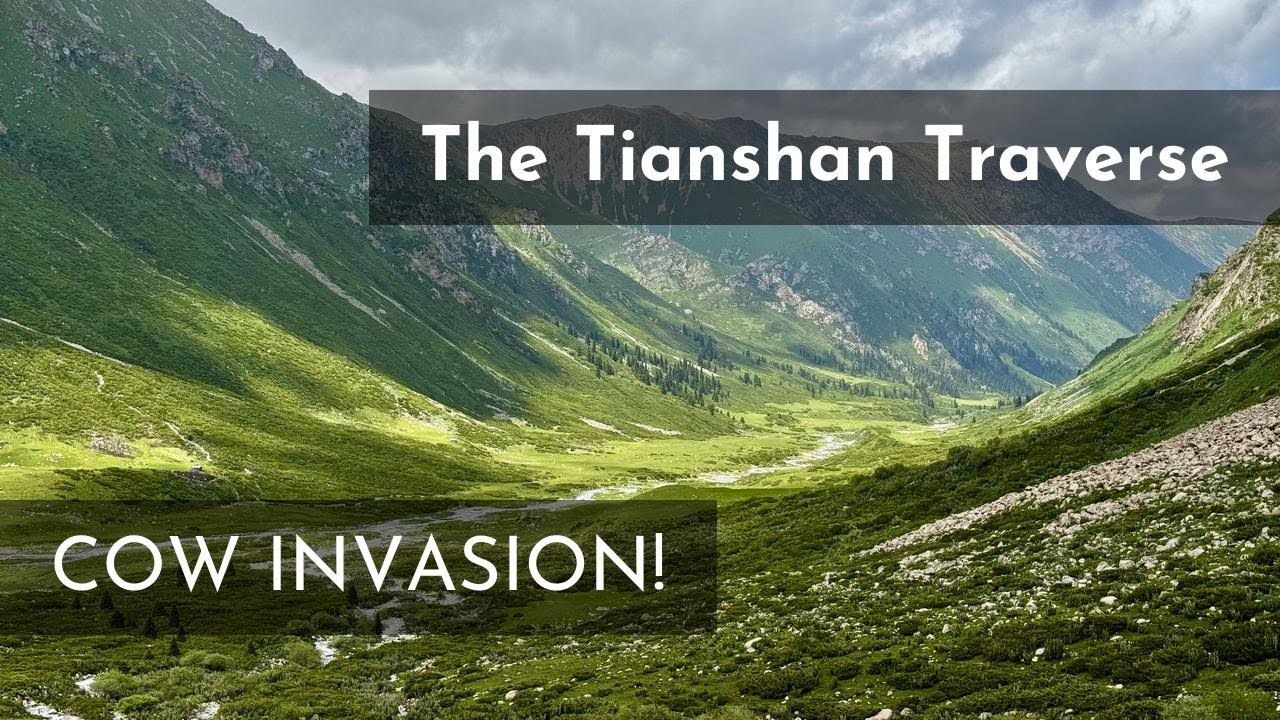 A Thousand Cows and One Spectacular Mountain Pass
