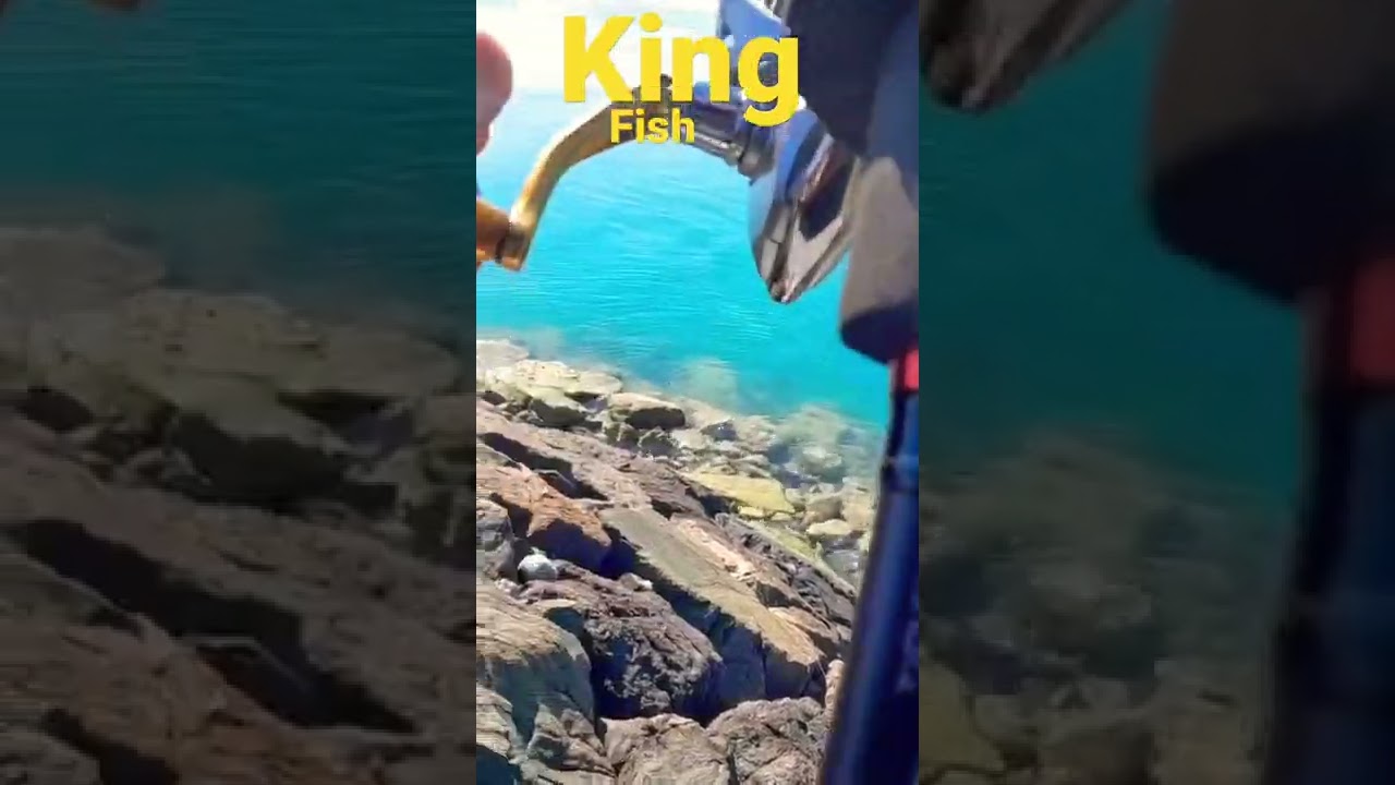 #fishing
