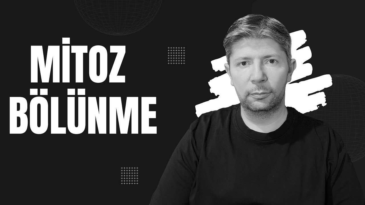 Mitoz Bölünme #biyoloji #hücrebölünmeleri #mitoz #tytbiyoloji