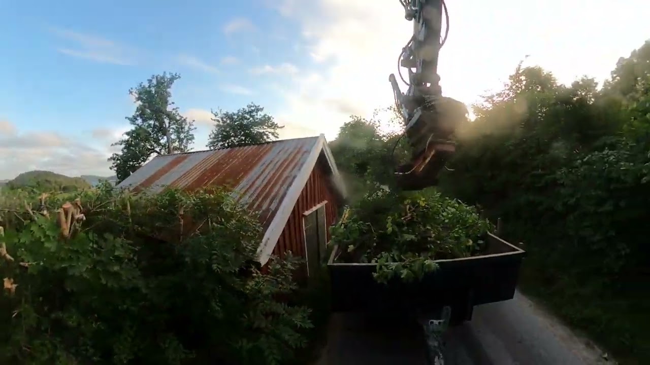 volvo ewr170e cutting down trees 👌
