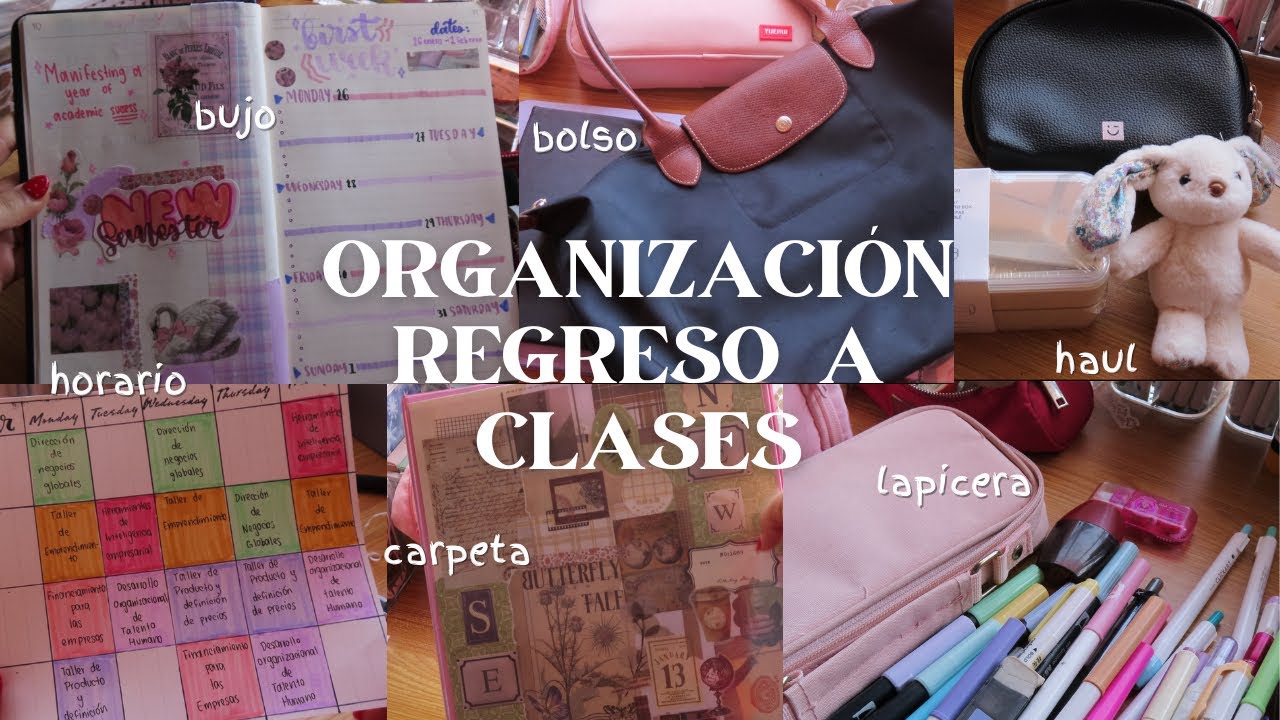 🏫Organizaci&oacute;n regreso a clases 🖍️