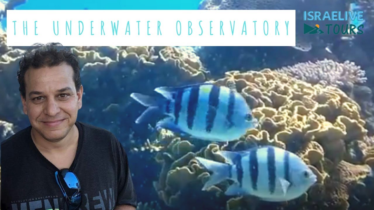 Tours in Israel - The Underwater Observatory in Eilat - with guide Michael