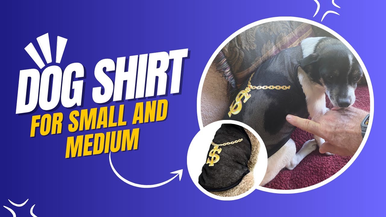 Stylish Black Bling Dog Shirt Review for Small Breeds